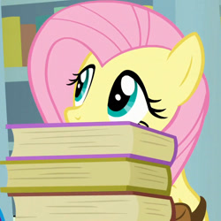 Size: 600x600 | Tagged: safe, imported from derpibooru, screencap, fluttershy, pegasus, pony, daring doubt, book, cropped, cute, female, hiding, mare, saddle bag, shyabetes, solo