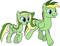 Size: 1014x788 | Tagged: safe, artist:didgereethebrony, imported from derpibooru, oc, oc:boomerang beauty, oc:didgeree, pegasus, pony, base used, boomeree, brother and sister, cutie mark, female, male, mare, siblings, simple background, stallion, trace, transparent background
