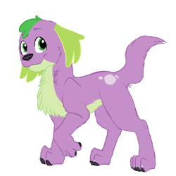 Size: 1000x1000 | Tagged: safe, artist:catlover1672, imported from derpibooru, spike, spike the regular dog, dog, equestria girls, chest fluff, male, missing accessory, simple background, solo, white background