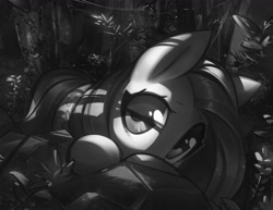 Size: 1600x1237 | Tagged: safe, artist:mirroredsea, imported from derpibooru, fluttershy, pegasus, pony, female, forest, looking at you, mare, monochrome, peeking, solo