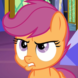 Size: 1079x1079 | Tagged: safe, imported from derpibooru, screencap, scootaloo, pegasus, pony, derpibooru, growing up is hard to do, angry, annoyed, cropped, disappointed, female, filly, frown, gritted teeth, juxtaposition, meta, pouting, pouty lips, solo