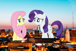 Size: 5605x3737 | Tagged: safe, artist:cloudy glow, artist:cloudyglow, artist:thegiantponyfan, imported from derpibooru, fluttershy, rarity, pegasus, pony, unicorn, female, giant pony, giantess, highrise ponies, irl, macro, mare, milwaukee, photo, ponies in real life, story included, wisconsin