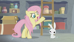 Size: 1600x900 | Tagged: safe, imported from derpibooru, screencap, angel bunny, fluttershy, pony, rabbit, she talks to angel, animal, argument, box, container, duo, female, frazzled, ladder, male, mare, shelf, unamused, upset