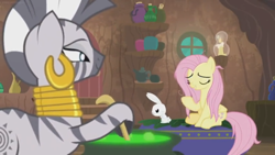 Size: 1600x900 | Tagged: safe, imported from derpibooru, screencap, angel bunny, fluttershy, zecora, pegasus, pony, rabbit, zebra, she talks to angel, angry, animal, brew, candle, cauldron, container, door, ear piercing, earring, female, frazzled, jewelry, male, mare, neck rings, piercing, shelf, sitting, trio, upset, window, zecora's hut