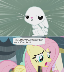 Size: 1366x1520 | Tagged: safe, edit, edited screencap, imported from derpibooru, screencap, angel bunny, fluttershy, pegasus, pony, rabbit, she talks to angel, animal, body swap, comic, dialogue, duo, female, male, mare, screencap comic, speech bubble, stare, the stare