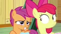 Size: 1920x1080 | Tagged: safe, imported from derpibooru, screencap, apple bloom, scootaloo, pony, growing up is hard to do