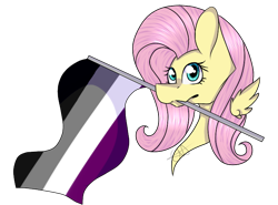 Size: 700x519 | Tagged: safe, artist:chazmazda, imported from derpibooru, fluttershy, pegasus, pony, asexual, asexual pride flag, bust, commission, female, flag, mare, mouth hold, pride, pride flag, shade, simple background, transparent background, ych result, your character here