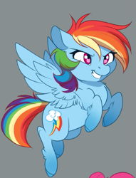 Size: 391x513 | Tagged: safe, artist:dvixie, deleted from derpibooru, edit, imported from derpibooru, pinkie pie, rainbow dash, pegasus, pony, chest fluff, chibi, cropped, cute, dashabetes, ear fluff, female, fluffy, flying, gray background, leg fluff, mare, simple background, smiling, solo focus, unshorn fetlocks, wing fluff, wings