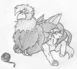 Size: 1400x1250 | Tagged: safe, artist:siegfriednox, imported from derpibooru, oc, oc only, oc:harpy, oc:southern comfort, griffon, pegasus, pony, behaving like a cat, fluffy, grayscale, monochrome, sitting on, sitting on person, sitting on pony, traditional art, yarn, yarn ball