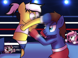 Size: 1600x1200 | Tagged: safe, artist:toyminator900, imported from derpibooru, oc, oc only, oc:bizarre song, oc:coldfire (bat pony), oc:sugar morning, oc:uppercute, bat pony, pegasus, pony, bipedal, blurry, boxing, boxing gloves, boxing ring, clothes, dialogue, dodge, female, lights, male, mare, midriff, shorts, sports, sports bra, sports shorts, stallion