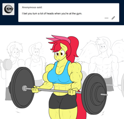 Size: 1280x1236 | Tagged: safe, artist:matchstickman, imported from derpibooru, apple bloom, oc, oc:calm wind, anthro, earth pony, pegasus, tumblr:where the apple blossoms, abs, apple bloom's bow, apple brawn, background pony, barbell, biceps, bodybuilder, bow, breasts, busty apple bloom, clothes, deltoids, dumbbell (object), female, gym, hair bow, male, mare, matchstickman's apple brawn series, muscles, older, older apple bloom, pecs, simple background, solo focus, sports bra, sports shorts, spread wings, stallion, thighs, thunder thighs, tumblr comic, vein, weight lifting, weights, white background, wingboner, wings