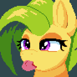 Size: 276x276 | Tagged: safe, artist:bitassembly, imported from derpibooru, oc, oc only, oc:bit assembly, earth pony, pony, :p, bust, female, mare, mlem, pixel art, portrait, silly, simple background, solo, tongue out