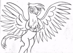 Size: 3195x2345 | Tagged: safe, artist:mfg637, imported from derpibooru, gilda, griffon, female, simple background, sketch, solo, traditional art