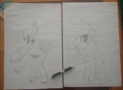 Size: 1903x1403 | Tagged: safe, artist:annuthecatgirl, imported from derpibooru, derpy hooves, ditzy doo, kirin, basket, ear fluff, female, kirin-ified, mouth hold, solo, species swap, traditional art, wip