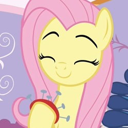 Size: 1076x1076 | Tagged: safe, imported from derpibooru, screencap, fluttershy, pegasus, pony, dragon dropped, cropped, cute, eyebrows, eyes closed, fabric, female, mare, pincushion, shyabetes, smiling, solo