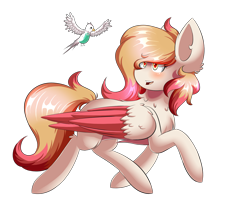 Size: 2520x2160 | Tagged: safe, artist:prism(not colourful), artist:xprismxx, imported from derpibooru, oc, oc only, oc:ruby, parakeet, pegasus, pony, female, mare, simple background, solo, transparent background, two toned wings, wings