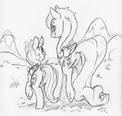 Size: 1671x1581 | Tagged: safe, artist:dilarus, deleted from derpibooru, imported from derpibooru, fluttershy, rainbow dash, pegasus, pony, female, mare, monochrome, rear view, simple background, size difference, smoldash, tallershy, traditional art, white background