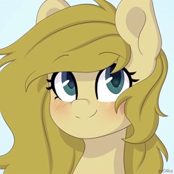 Size: 4000x4000 | Tagged: safe, artist:ev04kaa, imported from derpibooru, oc, oc only, earth pony, pony, bust, icon, portrait, rcf community, simple background, solo