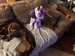 Size: 400x300 | Tagged: safe, artist:bigtimelatiaslover35, imported from derpibooru, twilight sparkle, alicorn, pony, build-a-bear, irl, photo, plushie, twilight sparkle (alicorn)