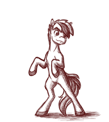 Size: 874x976 | Tagged: safe, artist:fynjy-87, imported from derpibooru, oc, oc only, earth pony, sketch