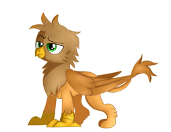 Size: 1245x955 | Tagged: safe, artist:jbond, imported from derpibooru, oc, oc only, oc:jacky breeze, griffon, griffon oc, griffonized, male, simple background, solo, species swap, white background