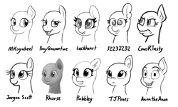 Size: 2500x1500 | Tagged: safe, artist:mkogwheel, imported from derpibooru, pony, bust, ear fluff, monochrome, open mouth, portrait, sketch, style emulation