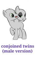 Size: 1080x2160 | Tagged: safe, artist:calebtyink, imported from derpibooru, earth pony, pony, base, conjoined, conjoined twins, male, multiple heads, pony base, stallion, template, two heads