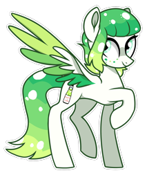 Size: 1374x1610 | Tagged: safe, artist:koloredkat, imported from derpibooru, oc, oc only, pegasus, pony, female, freckles, mare, pegasus oc, raised hoof, simple background, solo, transparent background, two toned wings, wings