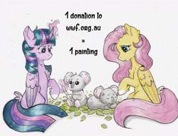 Size: 2686x2054 | Tagged: safe, artist:lightisanasshole, imported from derpibooru, fluttershy, twilight sparkle, alicorn, koala, pegasus, pony, advertisement, artin' for good, australia, bandage, colored hooves, donation, ear fluff, help, kindness, leaf, long tail, magic, raised hoof, sad, sitting, sleeping, tail feathers, text, traditional art, twilight sparkle (alicorn), watercolor painting, wings, worried