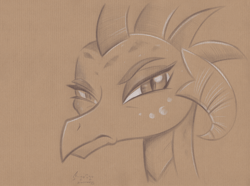 Size: 4400x3267 | Tagged: safe, artist:fladdrarblyg, artist:flutterstormreturns, imported from derpibooru, princess ember, dragon, absurd resolution, bust, dragoness, female, frown, grumpy, monochrome, pencil drawing, portrait, signature, solo, traditional art