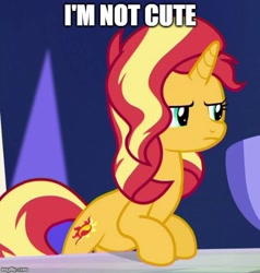 Size: 500x526 | Tagged: safe, edit, edited screencap, editor:twi clown, imported from derpibooru, screencap, sunset shimmer, pony, unicorn, equestria girls, spring breakdown, blatant lies, caption, cropped, cute, female, i'm not cute, image macro, mare, meme, shimmerbetes, solo, text, unamused