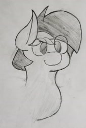 Size: 1884x2788 | Tagged: safe, artist:theartisttree, imported from derpibooru, oc, oc:theartis, earth pony, pony, bust, head, male, pencil drawing, traditional art