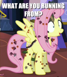 Size: 648x744 | Tagged: safe, edit, edited screencap, imported from derpibooru, screencap, fluttershy, insect, pegasus, pony, every little thing she does, adoracreepy, caption, creepy, cropped, cute, female, fiducia compellia, game boy camera, image macro, meme, solo, text