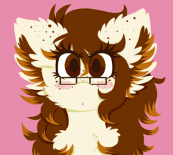 Size: 1135x1019 | Tagged: safe, artist:vanillaswirl6, imported from derpibooru, oc, oc only, oc:historic shine, pony, :o, animated, blushing, cheek fluff, chest fluff, ear fluff, freckles, glasses, open mouth, smiling, solo