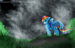 Size: 3049x1967 | Tagged: safe, artist:72-hours-remain, imported from derpibooru, rainbow dash, pegasus, pony, female, grass, mare, sad, spread wings, standing, upset, wings