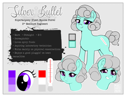 Size: 2500x1932 | Tagged: safe, imported from derpibooru, oc, oc:silver bullet, earth pony, pony, photo