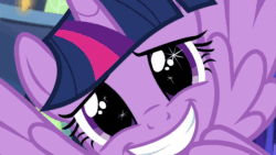 Size: 1280x720 | Tagged: safe, imported from derpibooru, screencap, twilight sparkle, alicorn, pony, made in manehattan, animated, cute, female, flapping, gif, looking at you, mare, smiling, solo, starry eyes, twiabetes, twilight sparkle (alicorn), wingding eyes