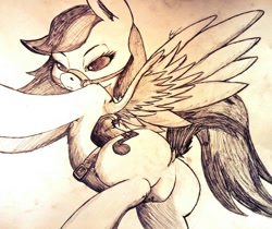 Size: 1024x862 | Tagged: safe, artist:lucas_gaxiola, imported from derpibooru, oc, oc only, pegasus, pony, bridle, butt, dock, featureless crotch, female, mare, pegasus oc, plot, saddle, signature, solo, tack, traditional art, wings