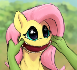 Size: 1236x1128 | Tagged: safe, artist:whiskeypanda, edit, imported from derpibooru, fluttershy, oc, oc:anon, human, pony, /mlp/, bust, creepy, creepy smile, creepyshy, cursed image, drawthread, forced smile, not salmon, offscreen character, open mouth, smiling, three quarter view, toothless, wat, wtf