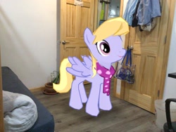 Size: 2046x1536 | Tagged: safe, edit, editor:topsangtheman, imported from derpibooru, cloud kicker, pegasus, pony, augmented reality, gameloft, irl, photo, ponies in real life