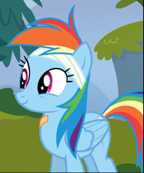 Size: 787x940 | Tagged: safe, imported from derpibooru, screencap, rainbow dash, pegasus, pony, newbie dash, bandage, bandaid, cropped, cute, dashabetes, female, mare, smiling, solo