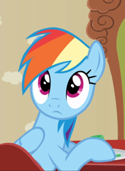 Size: 644x882 | Tagged: safe, imported from derpibooru, screencap, rainbow dash, pegasus, pony, flutter brutter, chair, cropped, cute, dashabetes, female, looking at you, looking back, looking back at you, mare, solo, table