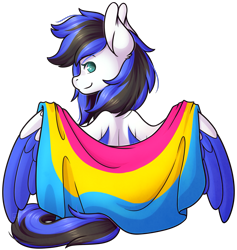 Size: 1749x1845 | Tagged: safe, artist:ak4neh, imported from derpibooru, oc, oc only, oc:black ice, pegasus, pony, clothes, cute, female, flag, looking at you, mare, pansexual pride flag, pegasus oc, pride, pride flag, simple background, sitting, solo, spread wings, transparent background, wings