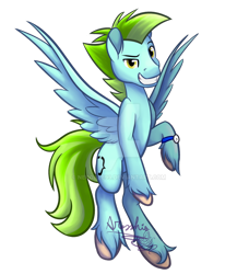 Size: 1024x1178 | Tagged: safe, artist:aresshia, imported from derpibooru, oc, oc only, oc:curly brackets, pegasus, pony, commission, simple background, solo, transparent background, yellow eyes