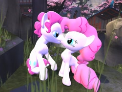 Size: 1024x768 | Tagged: safe, artist:horsesplease, imported from derpibooru, pinkie pie, 3d, bubble berry, bubblepie, cherry blossoms, female, flower, flower blossom, gmod, kissing, male, rule 63, sakura pie, self ponidox, selfcest, shipping, source filmmaker, straight