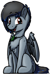 Size: 2718x4032 | Tagged: safe, artist:topicranger, derpibooru exclusive, imported from derpibooru, oc, oc only, oc:topic, pegasus, pony, 2020 community collab, derpibooru community collaboration, brown eyes, chest fluff, colored, jewelry, looking at you, male, necklace, simple background, sitting, smiling, smiling at you, solo, stallion, transparent background, wings