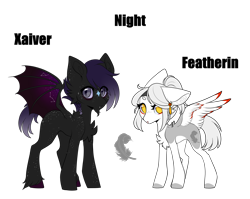 Size: 2835x2255 | Tagged: safe, artist:ohhoneybee, imported from derpibooru, oc, oc only, oc:featherin, oc:xavier, bat pony, pegasus, pony, base used, female, male, mare, simple background, stallion, transparent background