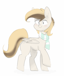 Size: 1600x1925 | Tagged: safe, artist:c0pter, imported from derpibooru, oc, oc only, oc:coffe, pegasus, pony, clothes, pegasus oc, scarf, simple background, solo, white background