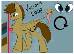 Size: 2209x1621 | Tagged: safe, artist:beardie, imported from derpibooru, oc, oc only, oc:vicious loop, pegasus, cutie mark, long tongue, male, reference sheet, stallion, tongue out