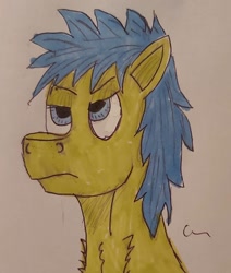 Size: 1082x1276 | Tagged: safe, artist:rapidsnap, imported from derpibooru, oc, oc:rapidsnap, pony, bored, grumpy, traditional art, unamused